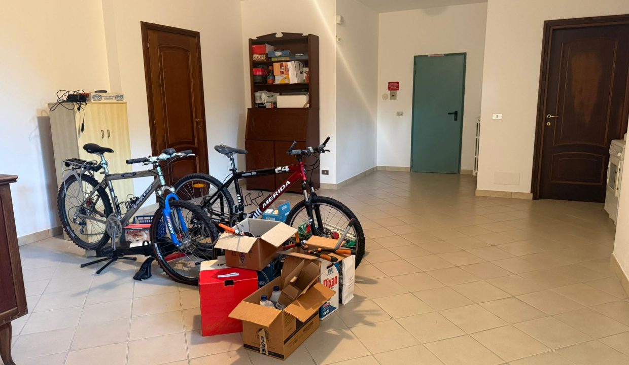 130c825a-7f44-4b56-8a99-9b95a7de6943