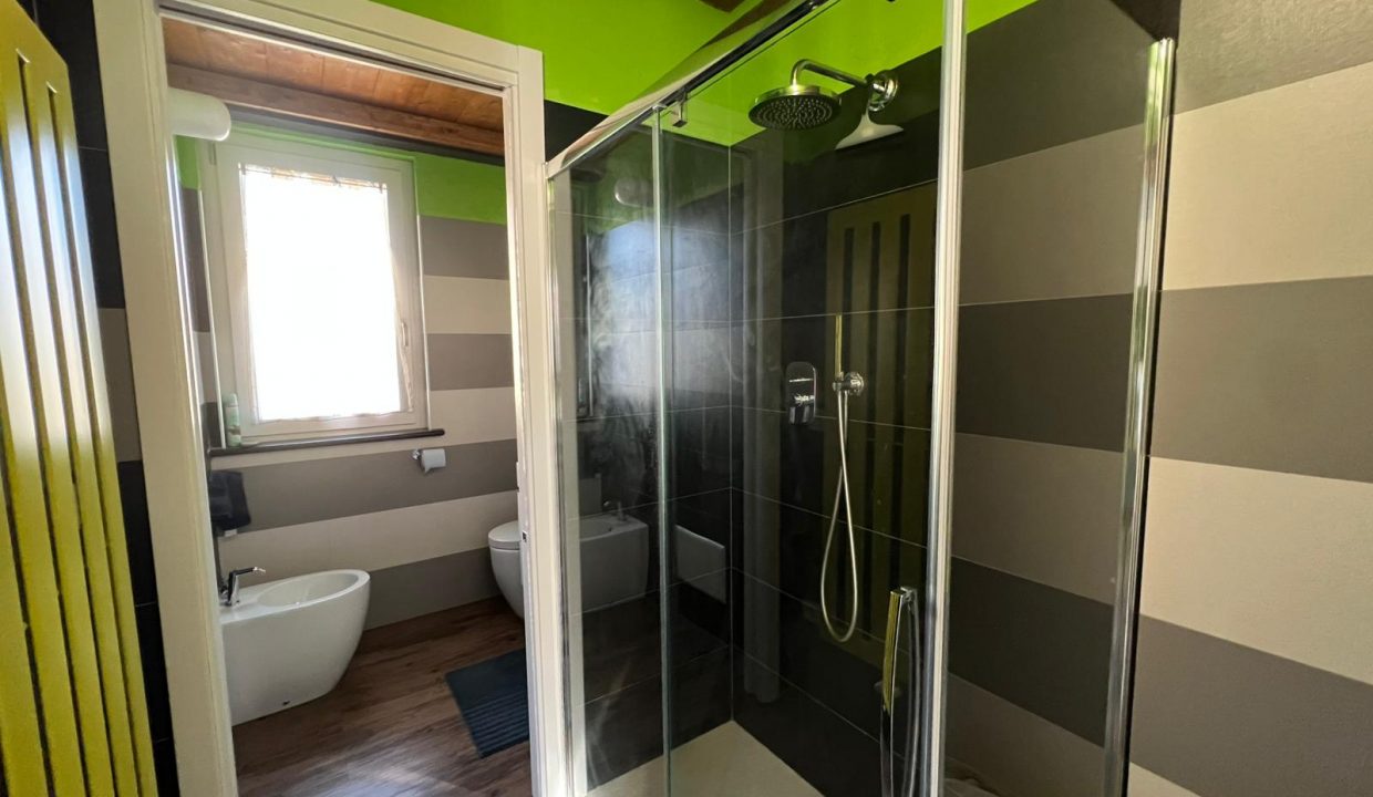 08d97150-301c-4354-9772-66f64cda8e7f