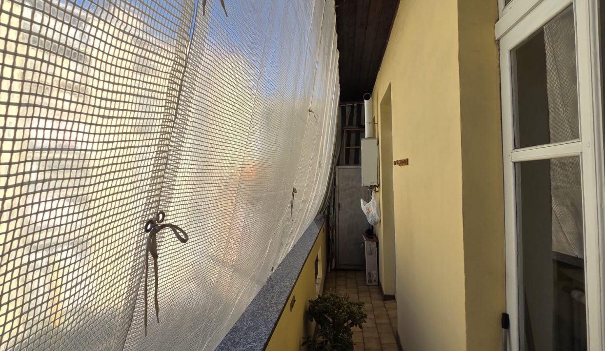 52125a8b-ec5e-499e-82ae-15c709728393