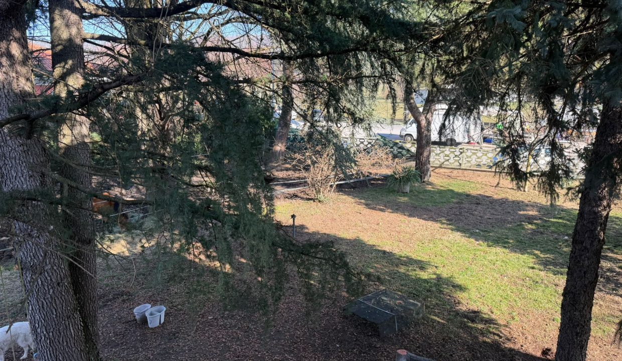 b287f5f3-403e-4f09-9970-c332d99904c3