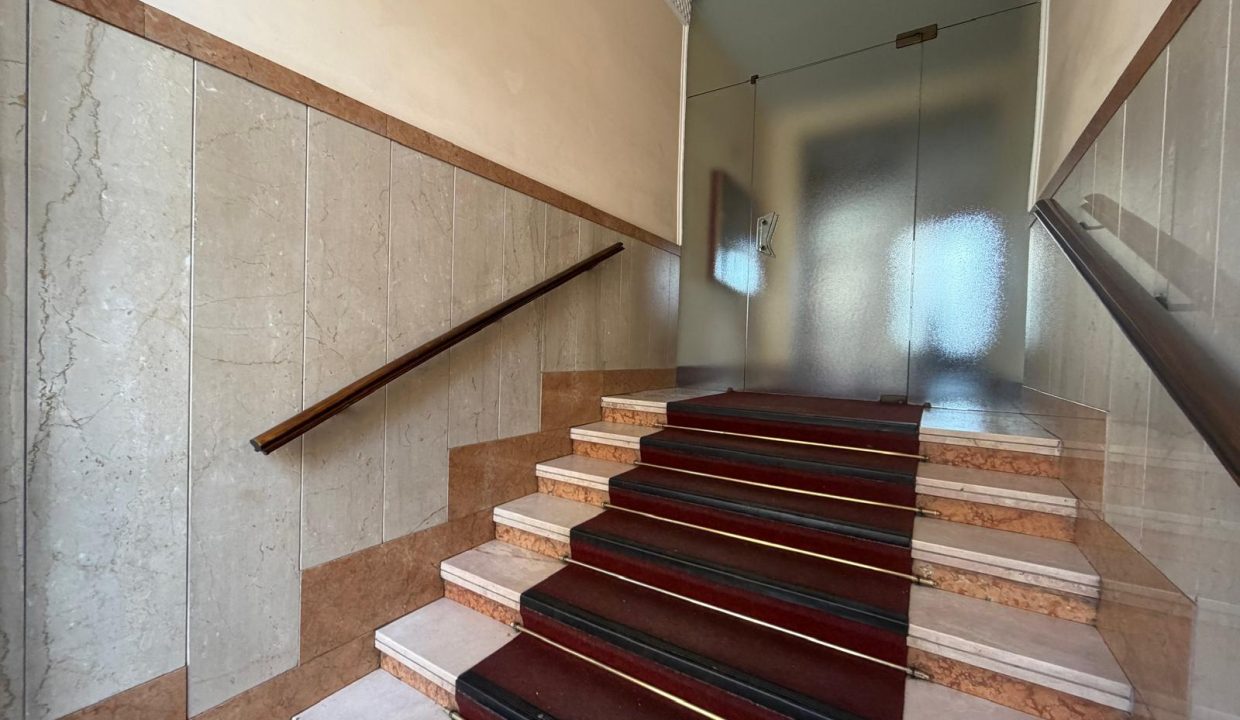 f55ce95b-3fb4-46a8-a5d4-2372d8c86f26