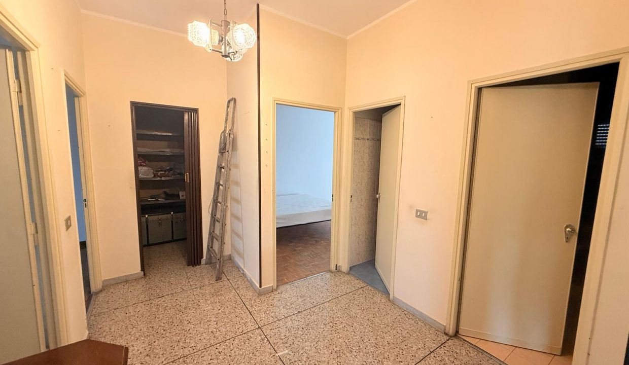 3a0cf1a2-02b1-41c1-b158-eb28560fa6a8