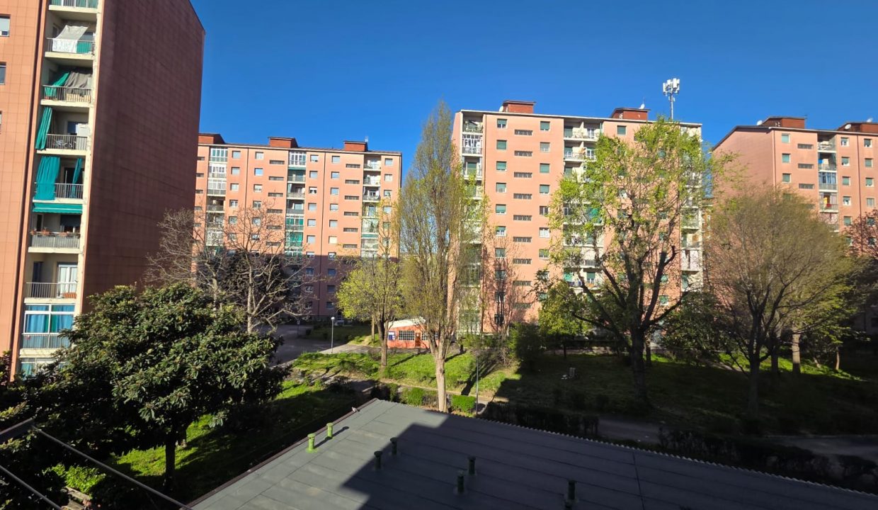 986c1737-5890-41e4-9924-52656d5fe8a2