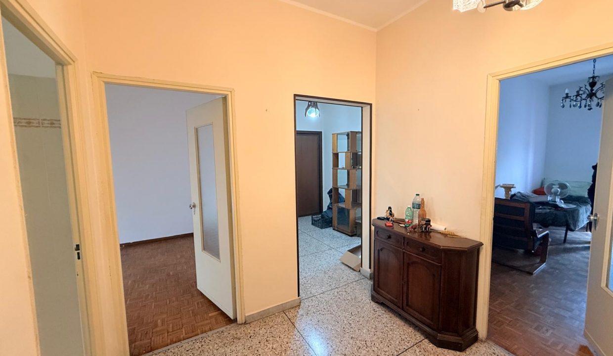 f8d43b83-898c-46c2-b724-ae8d79e354b8